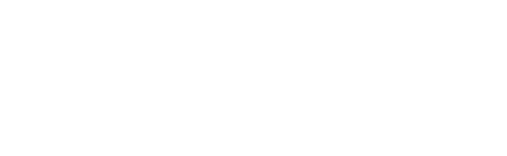 皖聪嘉彩